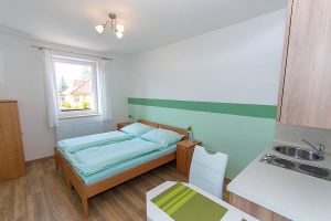 Penzion U Pešků - Horní Planá